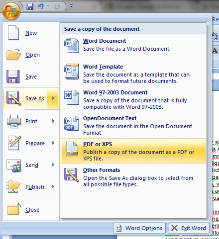 How to Convert a Document into a PDF - TP's Blog